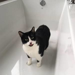 Meet your Posher, Karyna